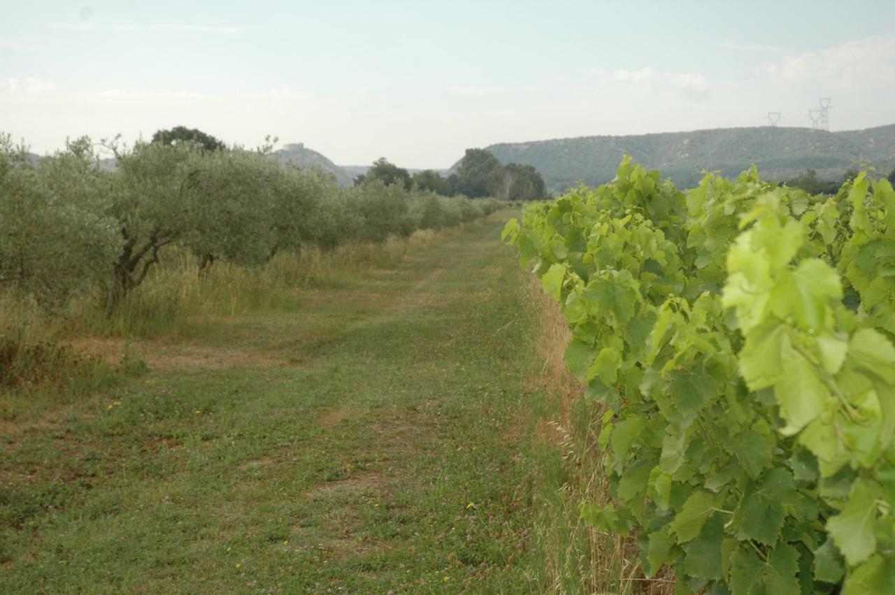 Domaine De Sevanes Bed & Breakfast Saint-Paul-les-Fonts Exterior photo